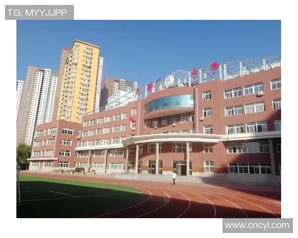 史鸿飞的传奇人生与奋斗历程:从平凡到卓越的成长之路